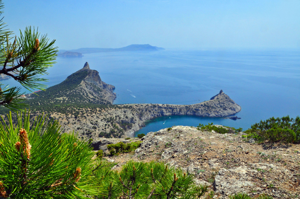 Ботанический заказник республиканского значения в Крыму Государственный ботанический заказник Новый Свет